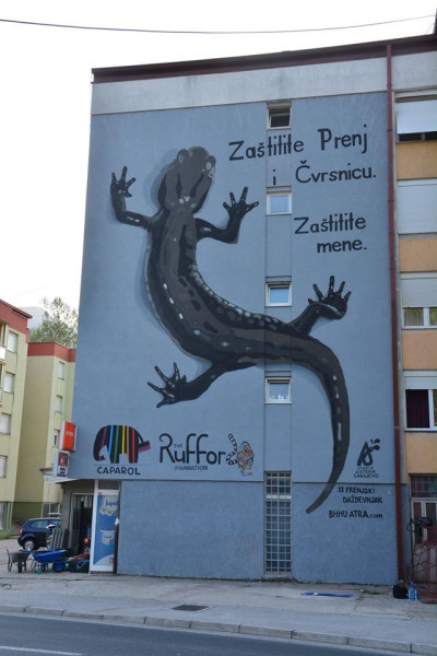 Mural prenjskog daždevnjaka u Jablanici, 2018
